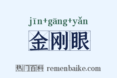 金刚眼是什么意思的图片